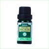 Tinh dầu xông trị liệu BioHealth 10ml